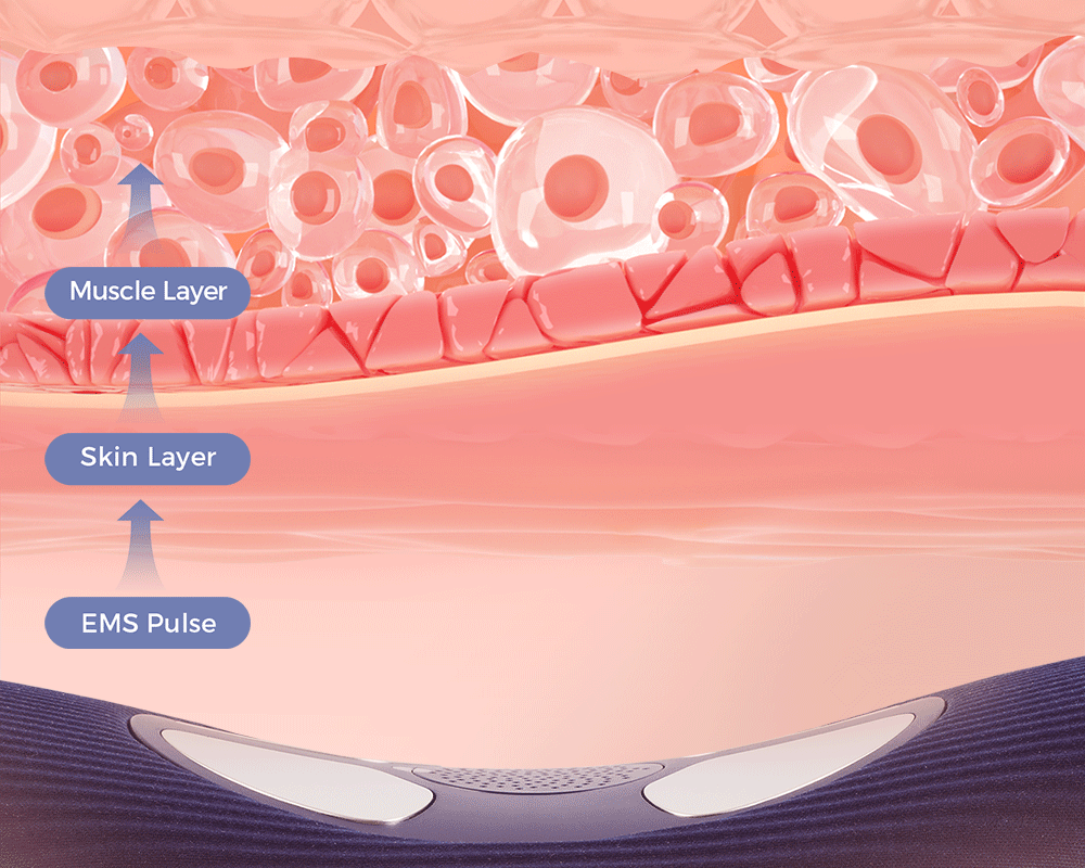 UV-C Technology: kills 99.9% of bacteria & dust mites