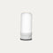 Replacement Filter